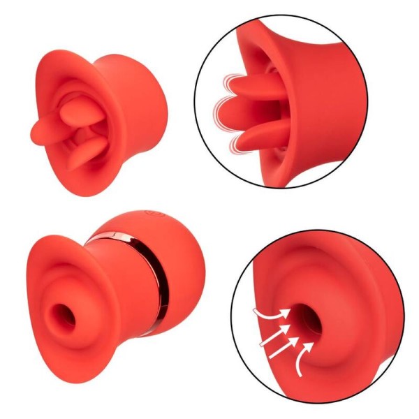 Calexotics - Ensemble French Kiss Suck & Play