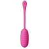 Pretty Love - Oeuf Vibrant Rechargeable Catalina Rose