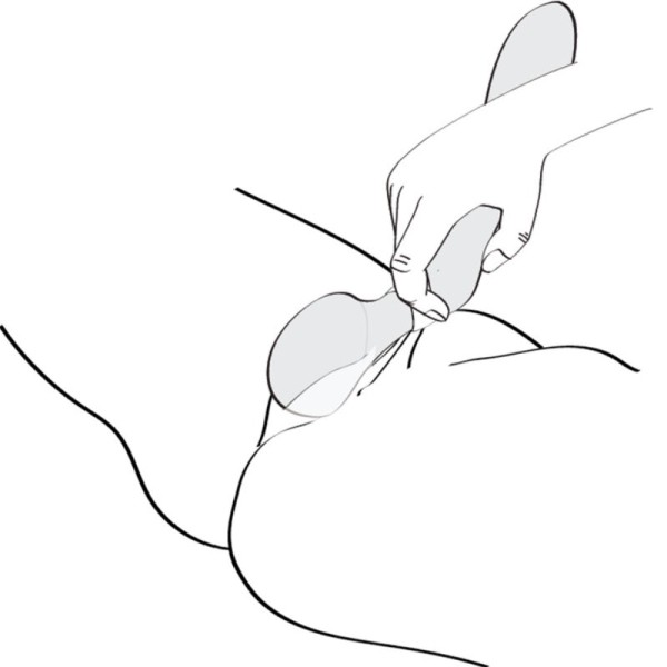 Shunga - Masseur Intime ZOA Rose – Masseuses