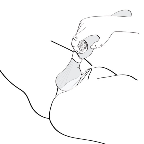 Shunga - Masajista Íntima ZOA Fucsia – Masajistas