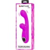 Pretty Love - Skylar Vibrateur Stimulateur Violet