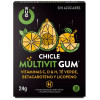 Potion multivitaminée WUG Gum - Santé optimise - Livraison discrète