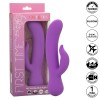 Calexotics - Vibrador Pleaser recargable por primera vez morado