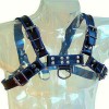 Leather Body - Harnais EN Cuir Bleu ET Noir Poitrine Bulldog
