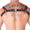 Macho - Harnais Double Pride Limited – Harnais pour hommes