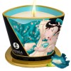 Shunga - Vela de Masaje Flores de la Isla 170 ML