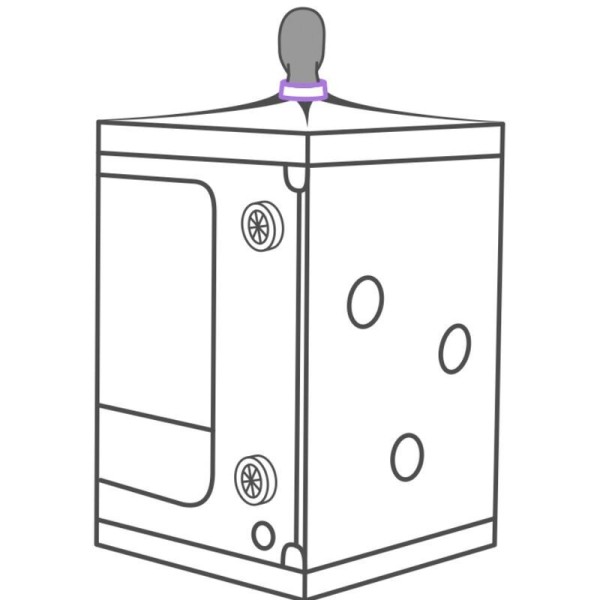 SECRET DOME - KINK CLUB CABINE SCANDALE PURPLE SECRET DOME