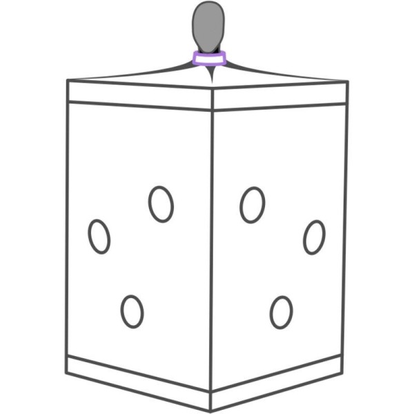 SECRET DOME - KINK CLUB CABINE SCANDALE PURPLE SECRET DOME