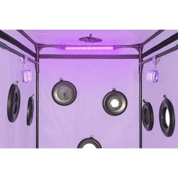 SECRET DOME - KINK CLUB CABINE SCANDALE PURPLE SECRET DOME