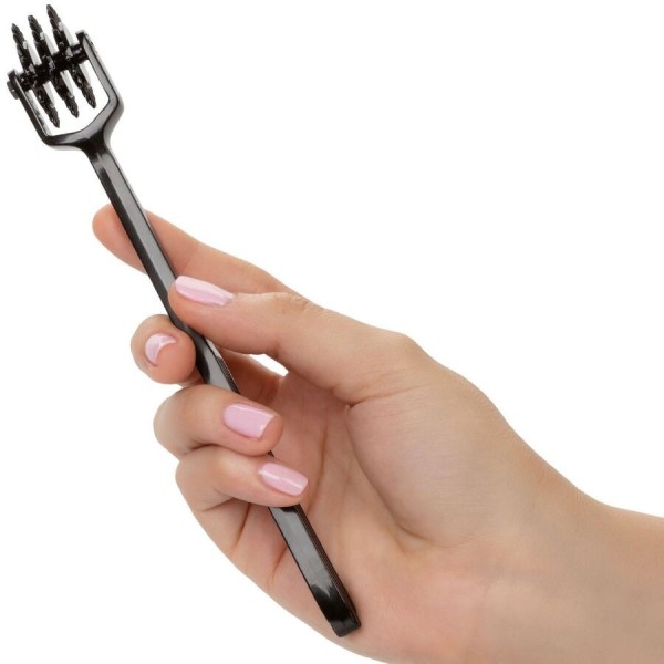 CALEXOTICS - ESCÁNDALO DEL PLACER DE LA TRIPLE RUEDA CALEXOTICS