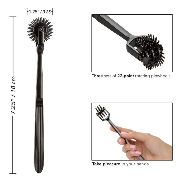 CALEXOTICS - ESCÁNDALO DEL PLACER DE LA TRIPLE RUEDA CALEXOTICS