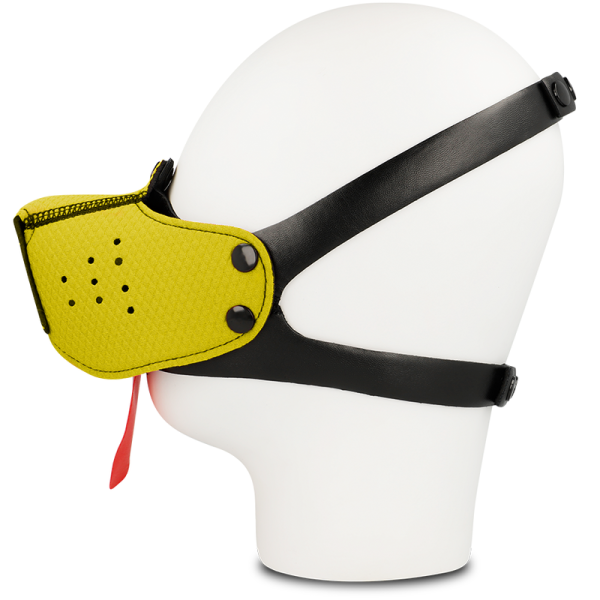 FOCINHO DE CÃO OHMAMA FETISH - AMARELO