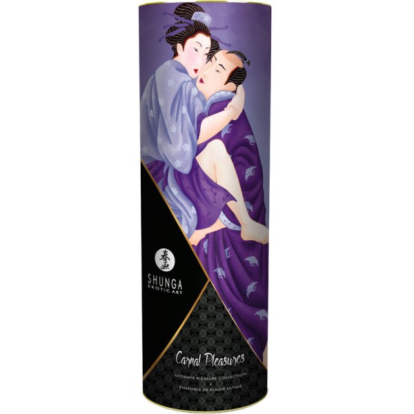 Shunga - KIT DE Collection Plaisirs Charnels