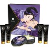 Shunga - Fruits Exotiques Secrets Geisha – Kits de massage