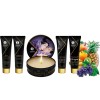 Shunga - Geisha Secreto Frutas Exóticas – Kits de masaje