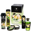 Shunga - KIT DE Jardin EDO Collection BIO – Kits de massage