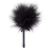 Secret Play - Mini Plumero Negro – Plumas