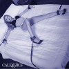 Calexotics - CINTURÓN DE CAMA Nocturno Ajustable de Cuero Negro