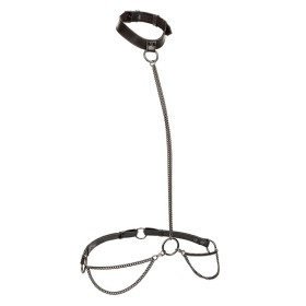 Calexotics - Collar Euphoria Y Cadena De Correa