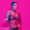 Calexotics - Euphoria Collier ET Laisse Chaine