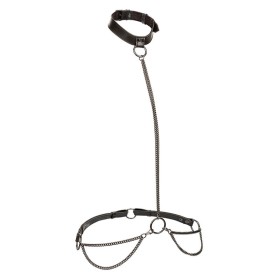 Calexotics - Collar Halter Y Correa Euphoria Talla Grande