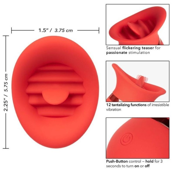 ANAIS MEN - BANANA SLIP XL ANAIS MEN SLIP & THONG - Feuillets