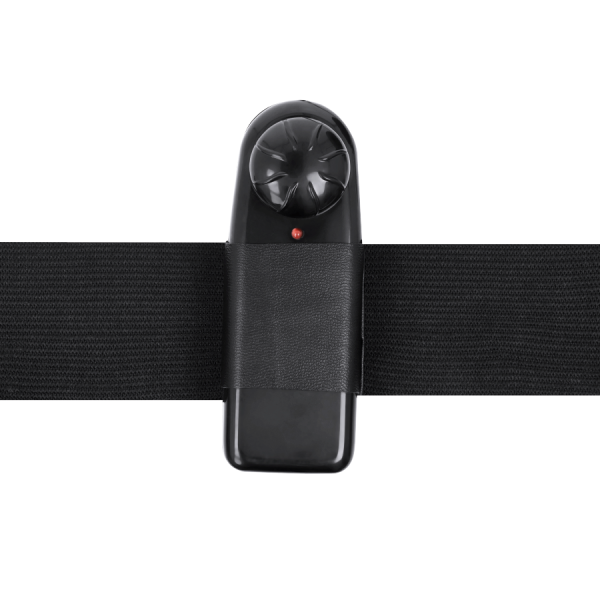 HARNESS ATTRACTION - RNES WALTER AVEC VIBRATION 15.5 CM -O- 3.7 CM HARNESS ATTRACTION