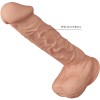 BAILE - BELLE ENCOUNTER BERGRISI DILDO FLEXÍVEL REALISTA 26 CM NATURAL