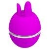 PRETTY LOVE - VIBRATEUR ROND EN SILICONE GEMINI BALL VIOLET PRETTY LOVE FLIRTATION