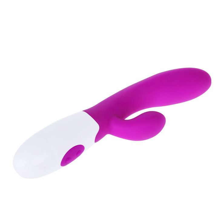 Vibromasseur Alvis avec stimulateur clitoridien — PRETTY LOVE FLIRTATION