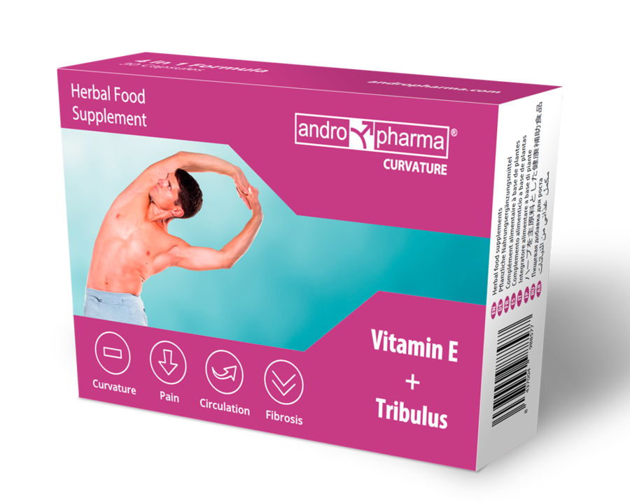 Complément pour courbure de la verge — ANDRO MEDICAL