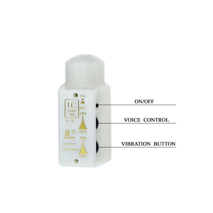 Masturbateur réaliste avec vibro et commande vocale — BAILE FOR HIM