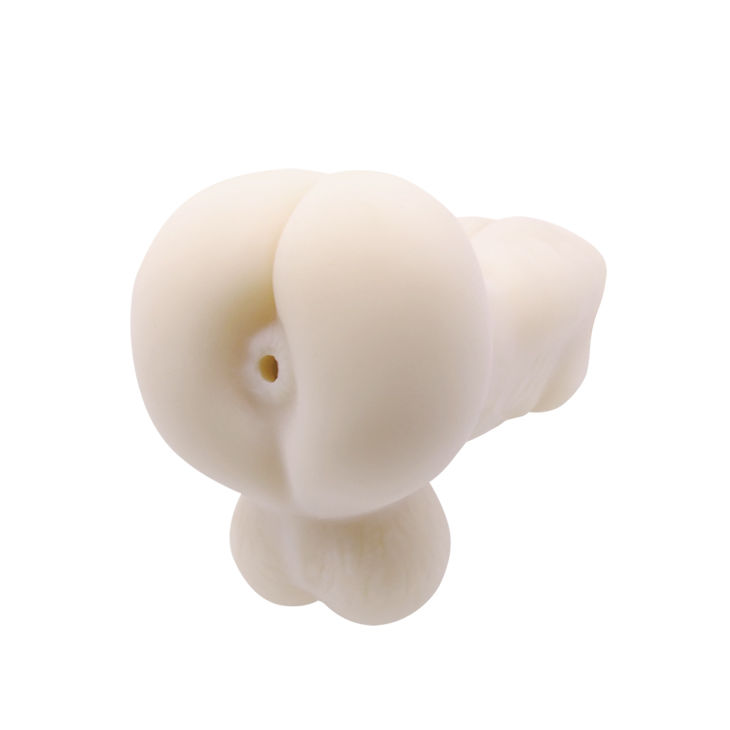 Masturbateur de voyage réaliste Back Spirit — BAILE FOR HIM