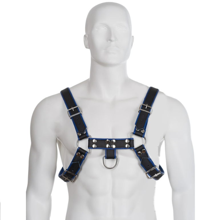 Harnais poitrine bulldog en cuir bleu et noir — LEATHER BODY