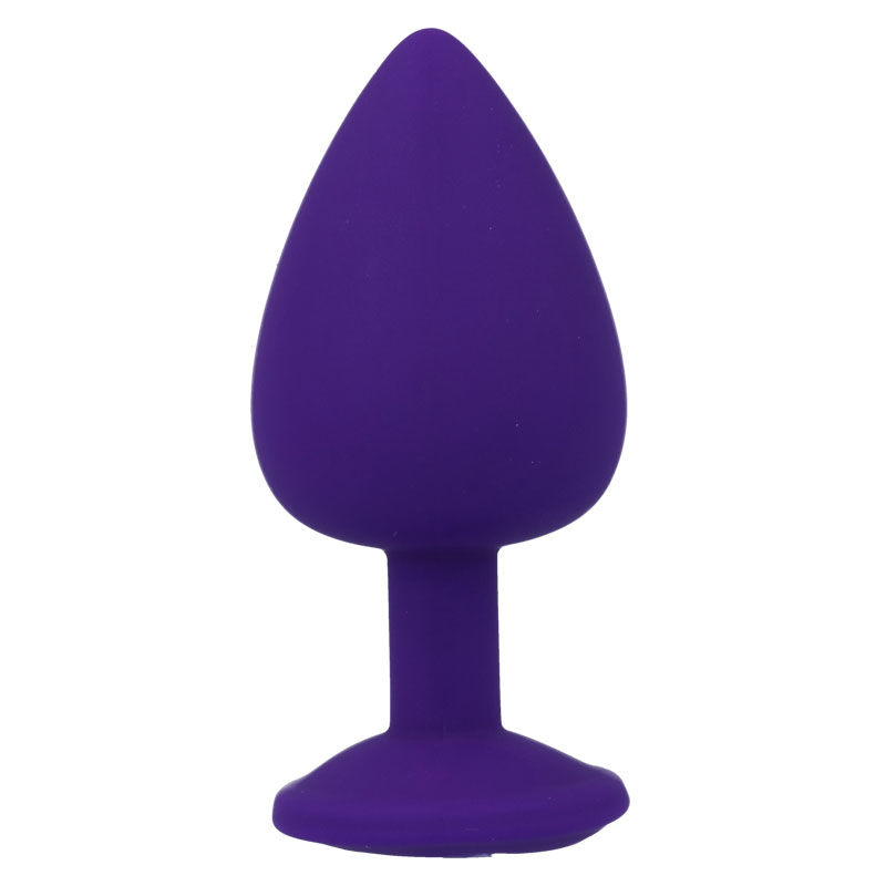 Plug anal luxueux en silicone lilas — INTENSE ANAL TOYS