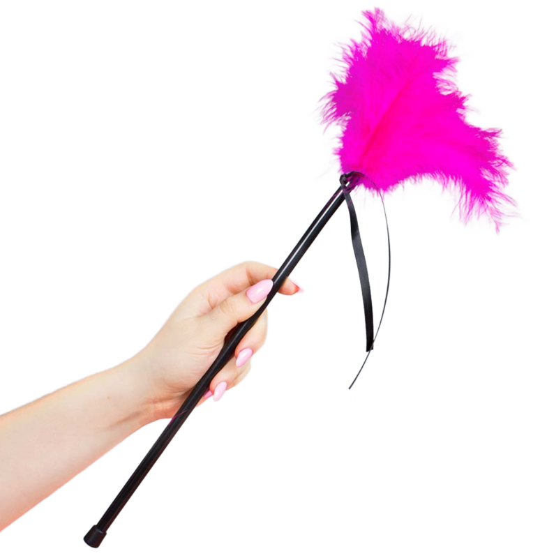 Panache de plumes érotiques rose — SECRETPLAY 100% FETISH