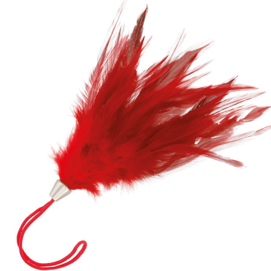 Plume de stimulation rouge 17 cm — DARKNESS SENSATIONS