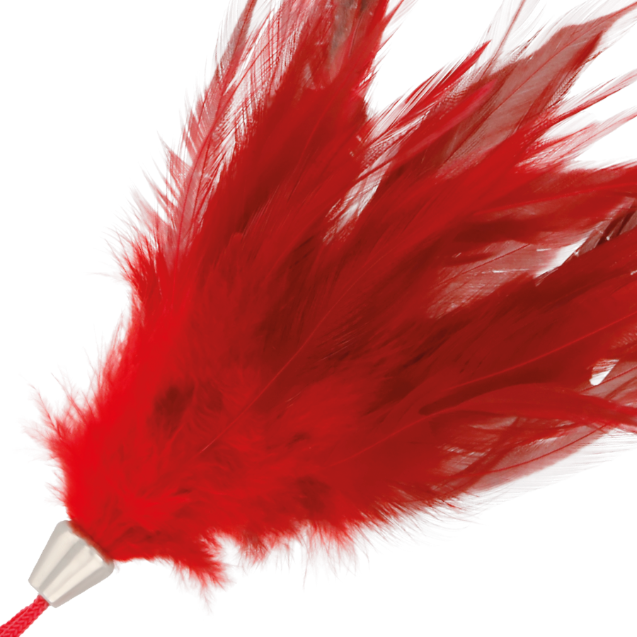 Plume de stimulation rouge 17 cm — DARKNESS SENSATIONS
