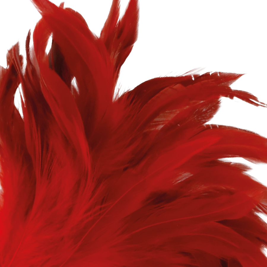 Plume de stimulation rouge 24cm — DARKNESS SENSATIONS