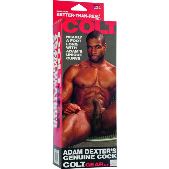 Réplique réaliste du pénis Adam Dexter — CALEXOTICS