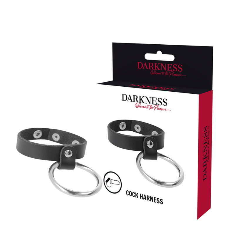 Anneau pénien et testiculaire en métal bdsm — DARKNESS BONDAGE