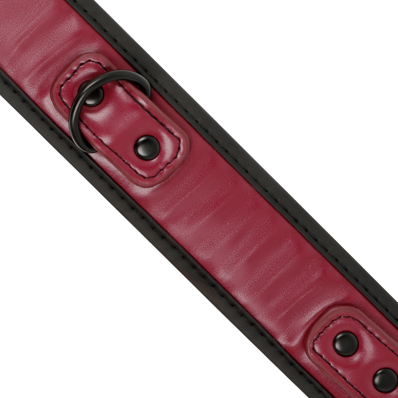 Collier de soumission réglable avec chaîne et doublure néoprène — FETISH SUBMISSIVE DARK ROOM