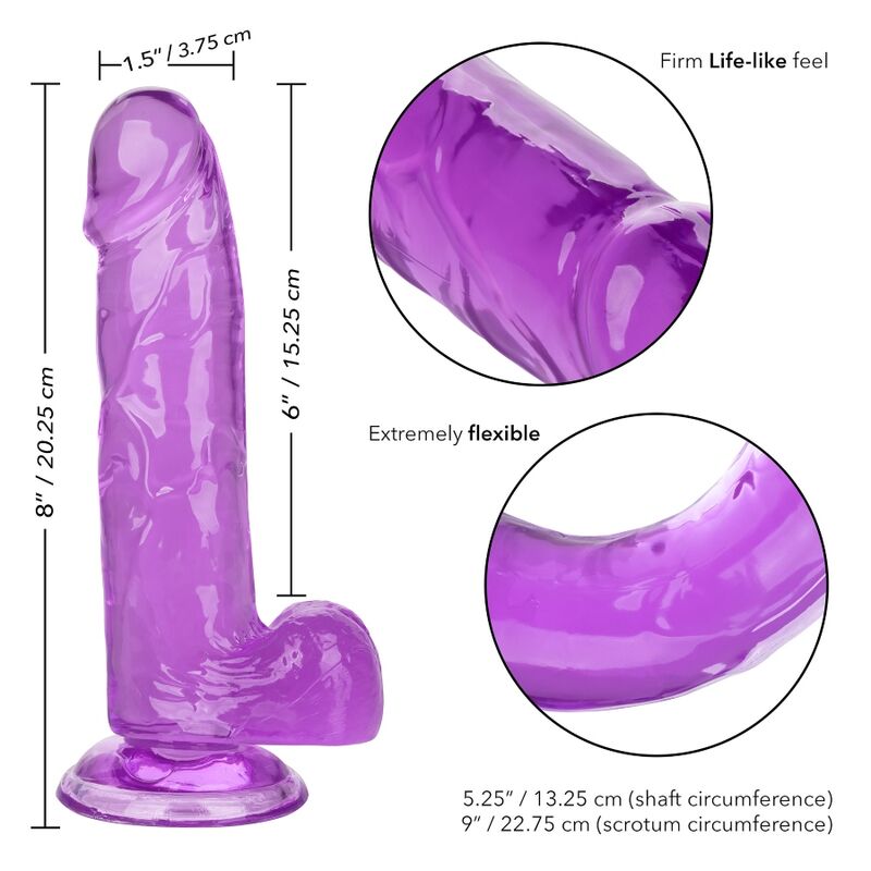 Godet reine violet à ventouse — CALEXOTICS
