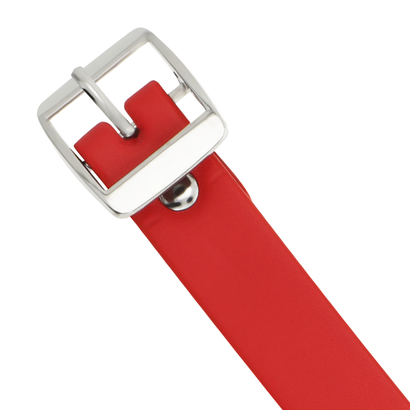 Collare per bondage in pelle vegana regolabile — COQUETTE ACCESSORIES