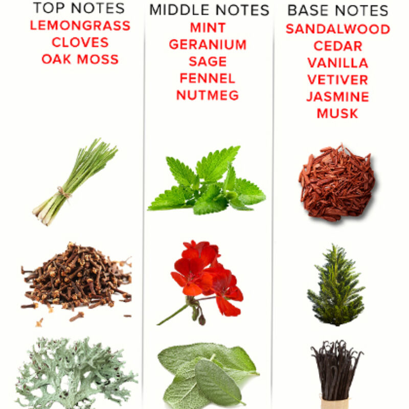 Eau de Cologne Romantique aux Phéromones 50 ml — EYE OF LOVE