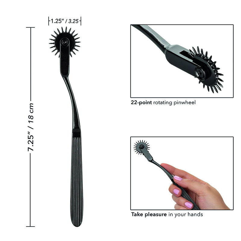 Roue de plaisance à 22 points — CALEXOTICS