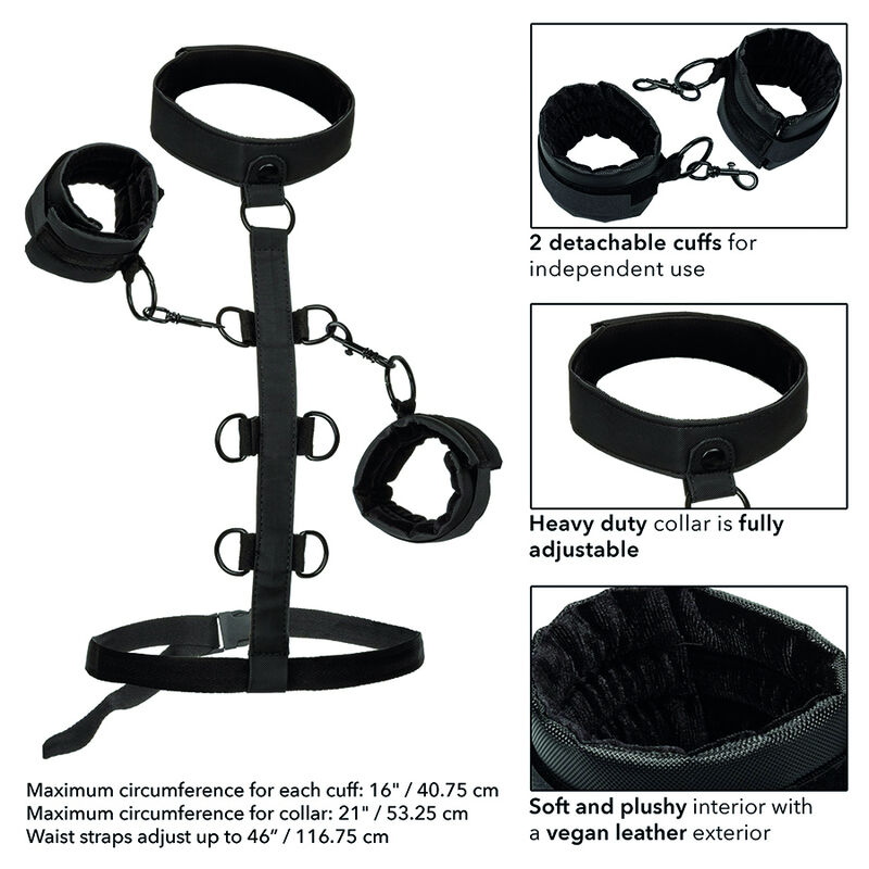 Collier de retenue réglable avec poignets amovibles — CALEXOTICS