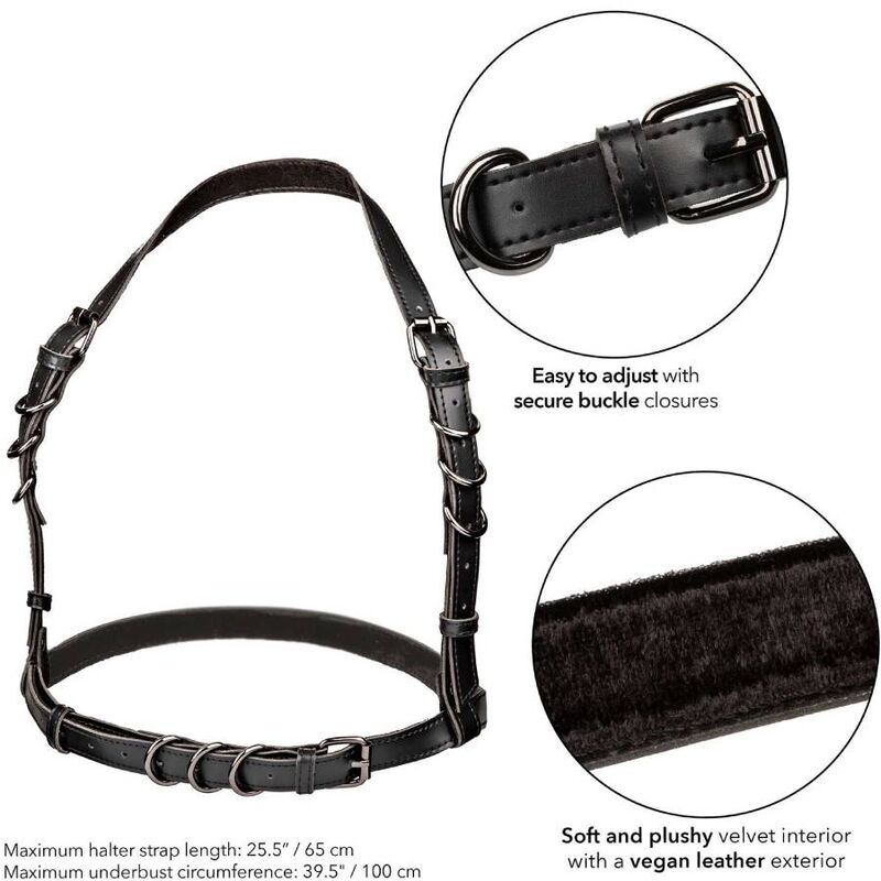 Harnais licou Euphoria à boucle — CALEXOTICS