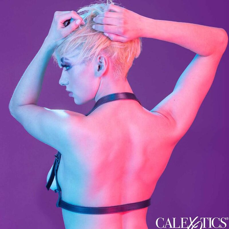 Harnais licou Euphoria à boucle — CALEXOTICS