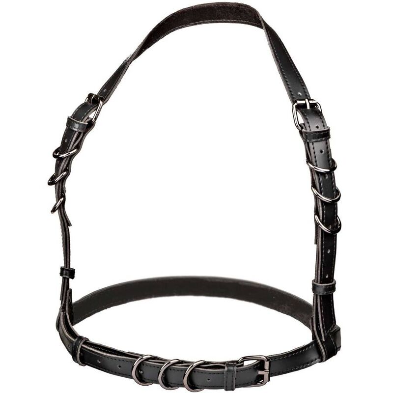 Harnais licou luxueux taille plus — CALEXOTICS